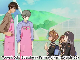 Touya's Job: Strawberry Farm Worker (Episode 38)